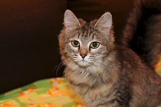 click for enlarge 1920 X 1280 358.6 Kb picture