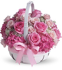 click for enlarge 445 X 500 49.4 Kb picture