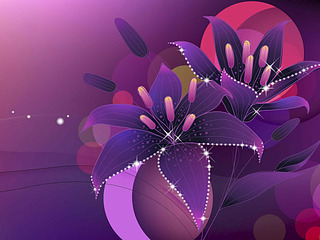 click for enlarge 1920 X 1440 217.0 Kb picture