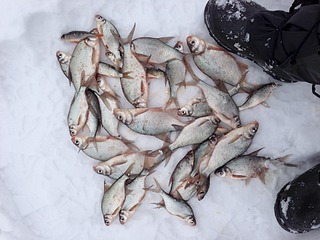 click for enlarge 1920 X 1440 660.9 Kb picture