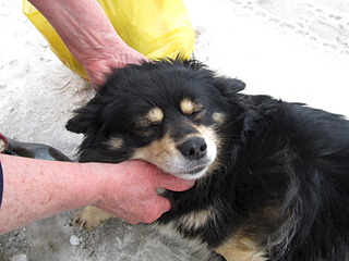 click for enlarge 1600 X 1200 504.2 Kb picture