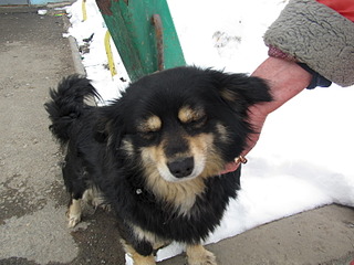 click for enlarge 1600 X 1200 514.2 Kb picture