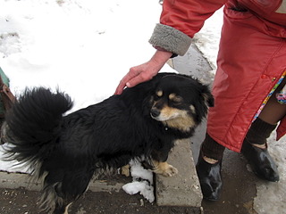 click for enlarge 1600 X 1200 414.1 Kb picture