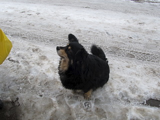 click for enlarge 1600 X 1200 475.0 Kb picture