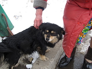 click for enlarge 1600 X 1200 475.2 Kb picture