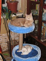 click for enlarge 1875 X 2500 740.4 Kb picture