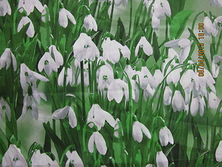 click for enlarge 1920 X 1440 723.1 Kb picture