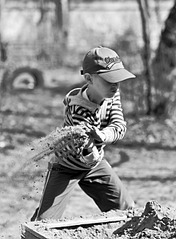 click for enlarge 1920 X 2606 824.9 Kb picture