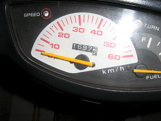 click for enlarge 1920 X 1440 621.8 Kb picture