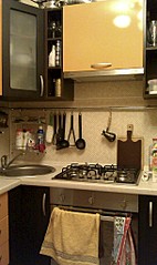 click for enlarge 1216 X 2048 602.9 Kb picture