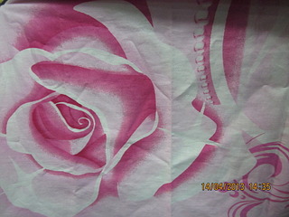 click for enlarge 1920 X 1440 575.3 Kb picture