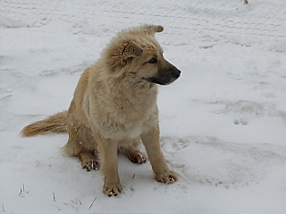 click for enlarge 640 X 480 133.2 Kb picture