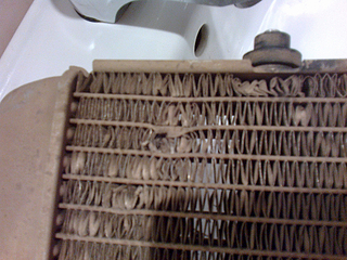 click for enlarge 1920 X 1440 346.4 Kb picture