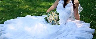 click for enlarge 1920 X 776 218.0 Kb picture