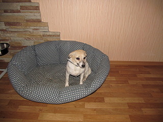 click for enlarge 1600 X 1200 664.2 Kb picture