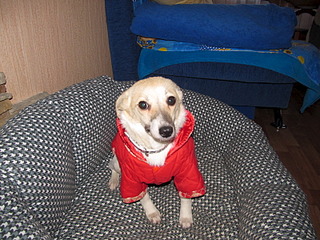 click for enlarge 1600 X 1200 803.4 Kb picture