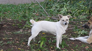 click for enlarge 1920 X 1079 663.9 Kb picture