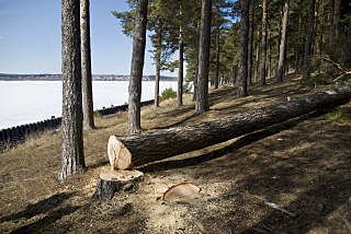 click for enlarge 1280 X 856 360.6 Kb picture