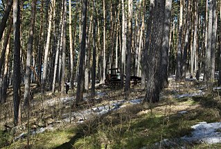 click for enlarge 1280 X 863 496.0 Kb picture