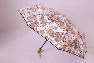 click for enlarge 1181 X 787 91.3 Kb picture