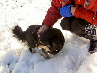 click for enlarge 1600 X 1200 370.9 Kb picture