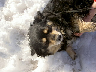 click for enlarge 1600 X 1200 443.9 Kb picture