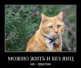 click for enlarge 650 X 553 49.8 Kb picture