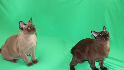 click for enlarge 1024 X 580 197.6 Kb picture