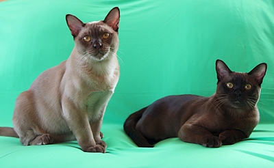 click for enlarge 1024 X 630 207.2 Kb picture