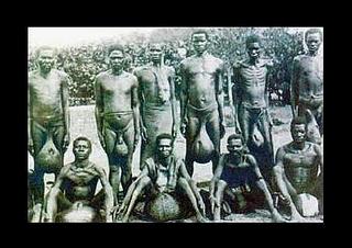 click for enlarge 453 X 320 28.2 Kb picture