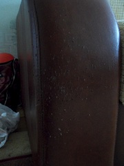 click for enlarge 684 X 912 313.3 Kb picture