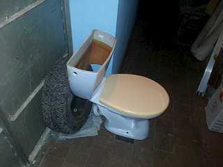 click for enlarge 1920 X 1440 117.6 Kb picture