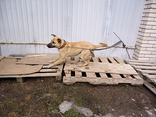 click for enlarge 1920 X 1440 989.7 Kb picture