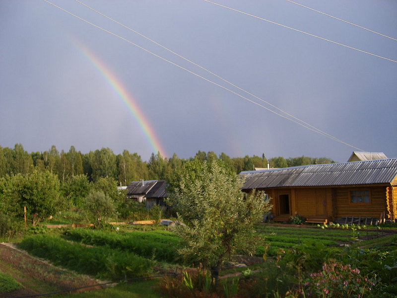 800 x 600
