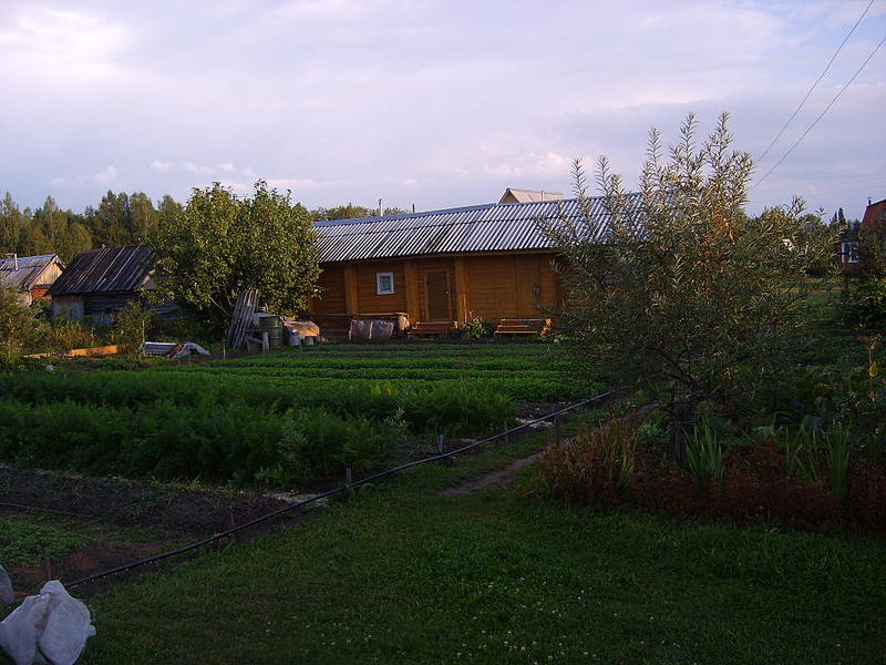 800 x 600