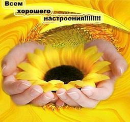click for enlarge 506 X 476  42.6 Kb picture