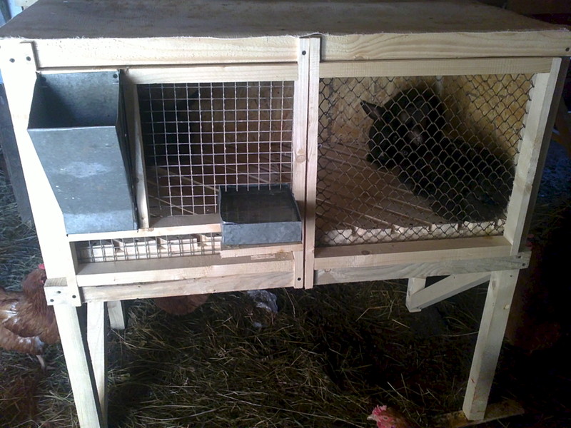 click for enlarge 1920 X 1440 454.6 Kb picture