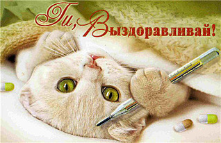 click for enlarge 640 X 413 178.6 Kb picture