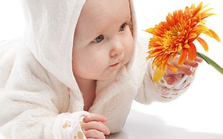 click for enlarge 1600 X 1000 126.8 Kb picture