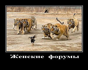 click for enlarge 598 X 480 59.5 Kb picture
