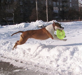 click for enlarge 1920 X 1755 723.3 Kb picture