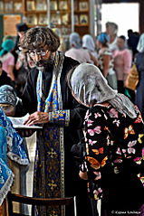 click for enlarge 664 X 1000 372.4 Kb picture