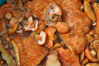 click for enlarge 1920 X 1275 242.7 Kb picture