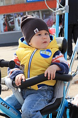 click for enlarge 1920 X 2880 515.8 Kb picture