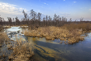 click for enlarge 799 X 533 314.3 Kb picture