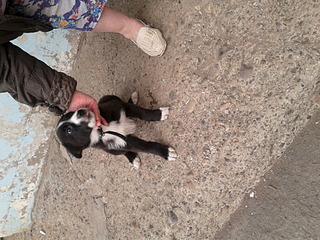 click for enlarge 1920 X 1440 860.8 Kb picture