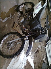 click for enlarge 1200 X 1600 586.5 Kb picture