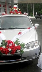 click for enlarge 196 X 332 52.0 Kb picture