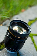 click for enlarge 680 X 1024 135.3 Kb picture