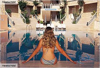 click for enlarge 700 X 480 91.5 Kb picture